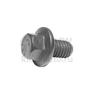 Болт с фланцем и шестигранной головкой (М6х1.00х10) SF2.8 