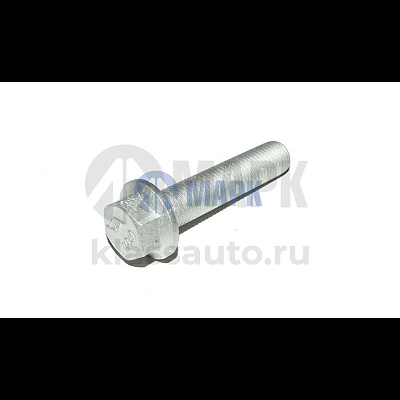 Болт крепления пневморессоры BPW 0250709600 (M16x2х70) (Sampa)