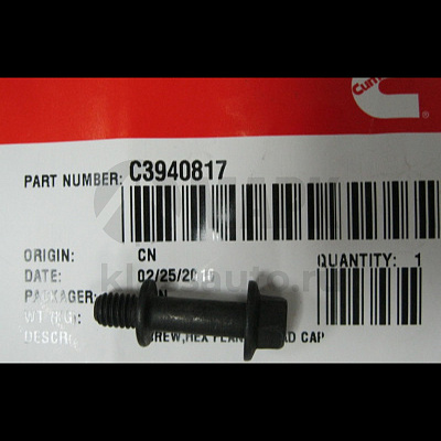 Болт (М6х1.00х25) C3940817 крепления форсунки L, QSC8.3, ISLe