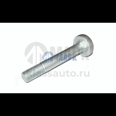 Болт полурессоры BPW М24х2x170 (TrailerParts)